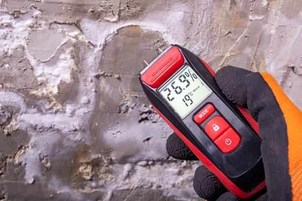 Best Local Mold Removal Service  in Moody, AL