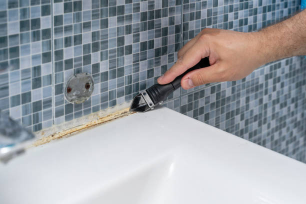 Best Mold Removal Company Near Me  in Moody, AL