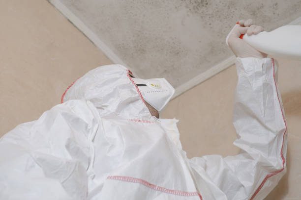 Best Emergency Mold Removal  in Moody, AL