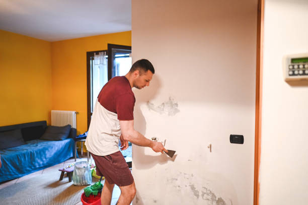 Best Black Mold Removal  in Moody, AL